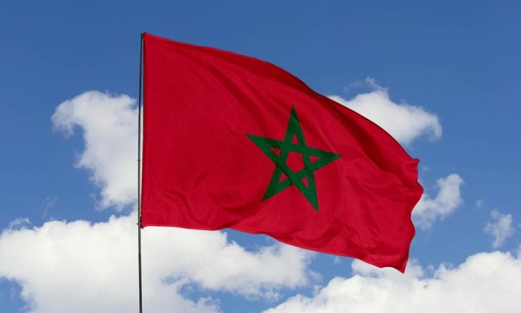 Illustration pour Croix Rouge - Aide au Maroc