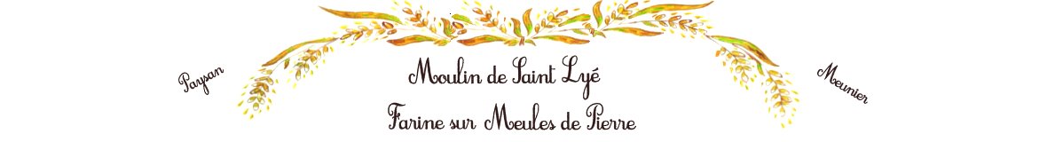 Logo de Le Moulin de St Lyé